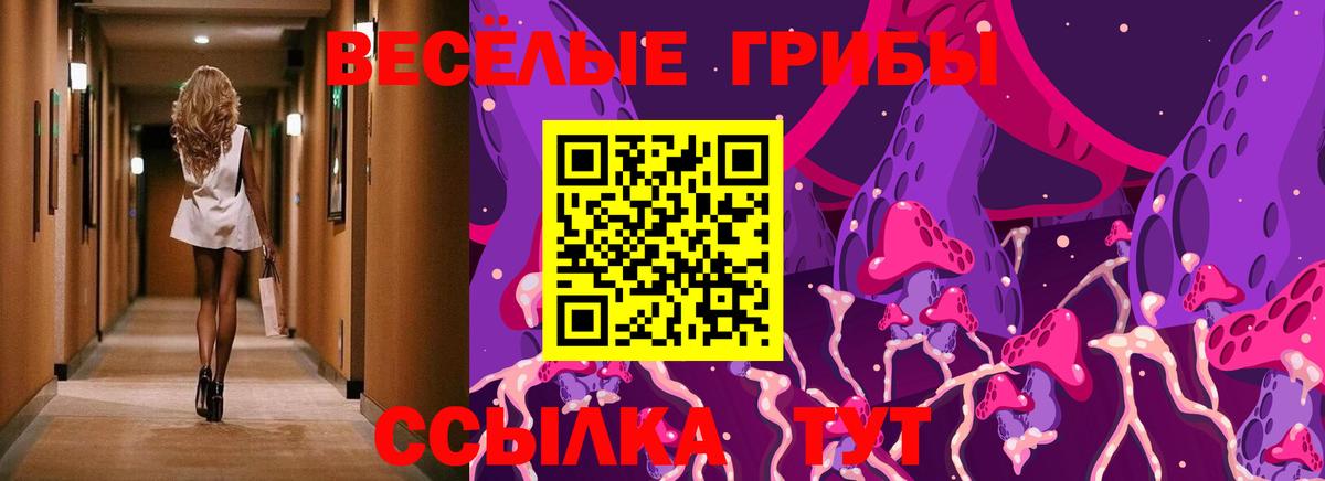 Псилоцибиновые грибы Magic Shrooms  купить наркотик  Галлюциногенные грибы Magic Shrooms  Кубинка  Вход с VPN 