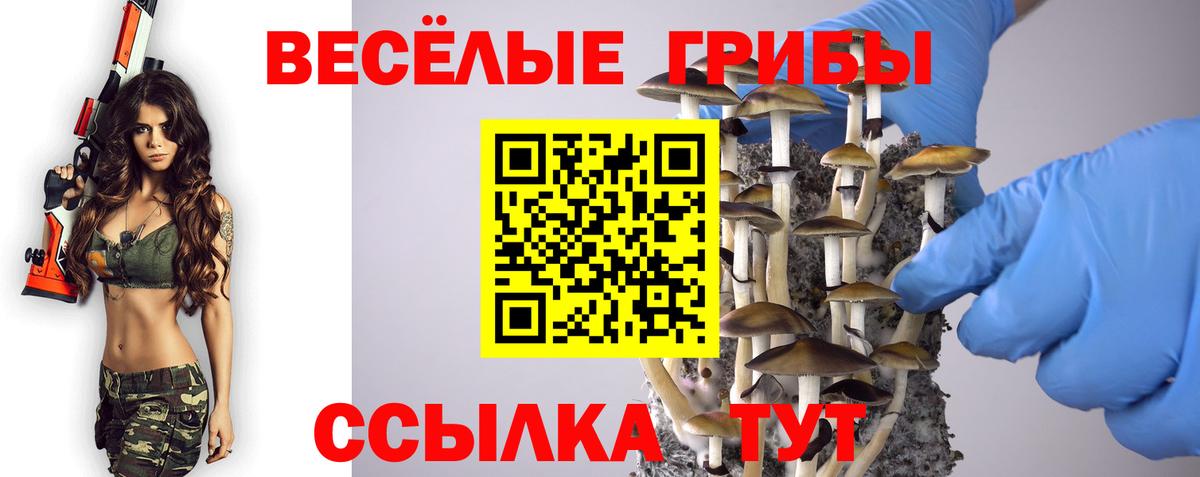 Псилоцибиновые грибы ЛСД Кубинка